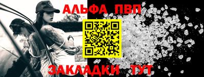 крисы Можга