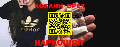 крисы Можга