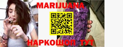 крисы Можга