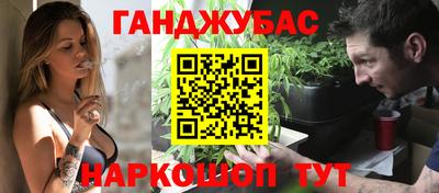 крисы Можга