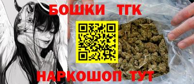 индика Нальчик