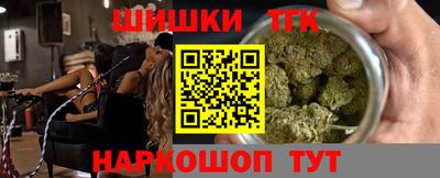крисы Можга