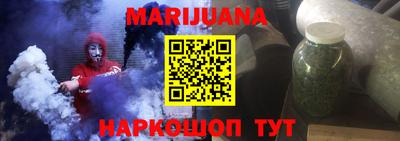 крисы Можга