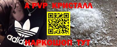 крисы Можга