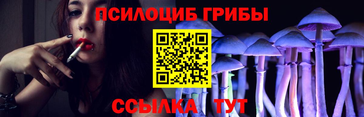 цены наркотик  Вход с VPN  Верхняя Пышма  Псилоцибиновые грибы Magic Shrooms 